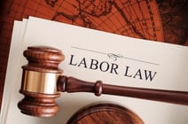 Labor Law and Employment Law in 2013 